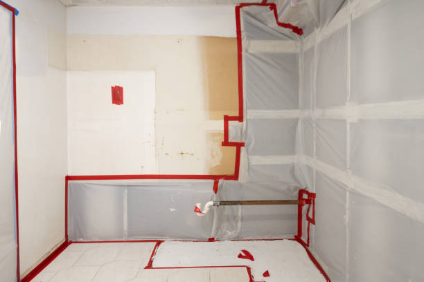 Trusted Trent Woods, NC Mold Removal Experts