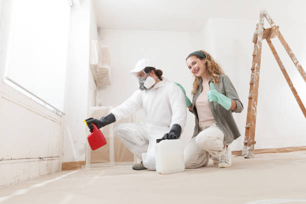 Best Water Damage & Mold Remediation  in Trent Woods, NC